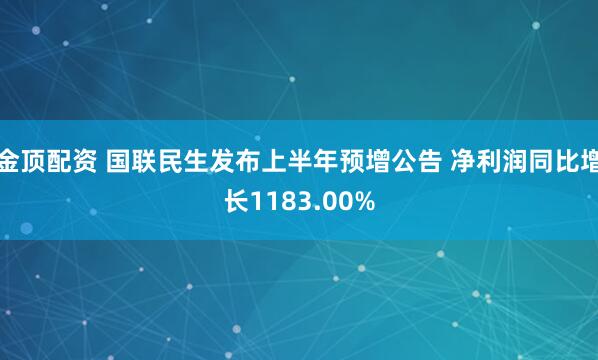 金顶配资 国联民生发布上半年预增公告 净利润同比增长1183.00%