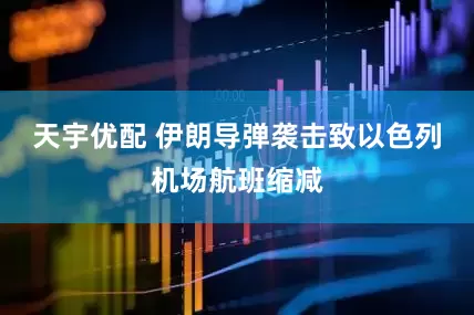 天宇优配 伊朗导弹袭击致以色列机场航班缩减